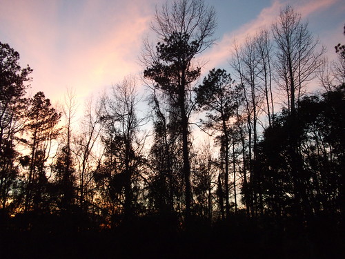lumberton nc northcarolina robesoncounty evening dusk sunset nature