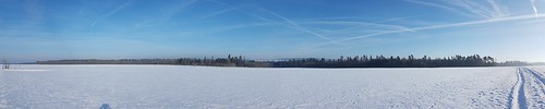 winter panorama schnee snow landschaft landscape blau himmel heiter blue sky cheerful kalt cold white weis wald wood forest wandern hike hiking deutschland germany germania bayern bavaria oberpfalz