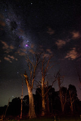 Carina Nebula - Harvey Dam, Western Australia