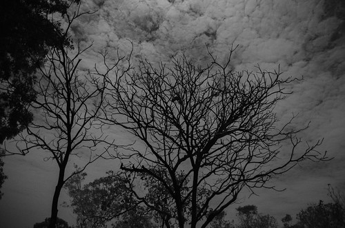 backlight night clouds territory austrlia edithfalls nitmiluknationalpark guillebarbat