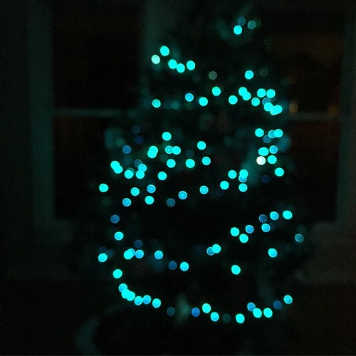 It's not Christmas if you don't Instagram your Christmas tree with bokeh effect. #decemberdaily