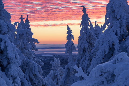 snow sunrise brocken harz mountains nationalpark winter schnee sonnenaufgang trees canon canon70200f28lll 6d