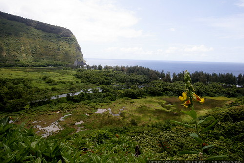 waipio, waipio valley, view, hawaii, hawaii… _MG_6280