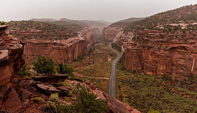 Long Canyon Rain