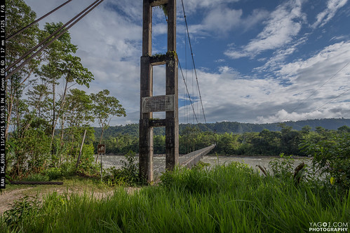 bridge landscape ecuador amazonas tena