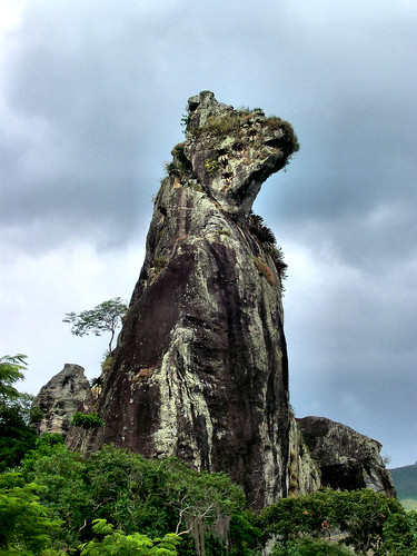 dog mountain rock landscape paisagem pedra montanha novafriburgo cãosentado