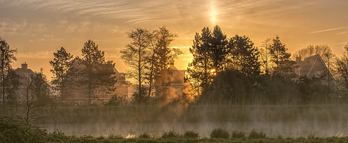 vlaardingervaart fog goldenlight houses mist sun trees water sunrise sundawn