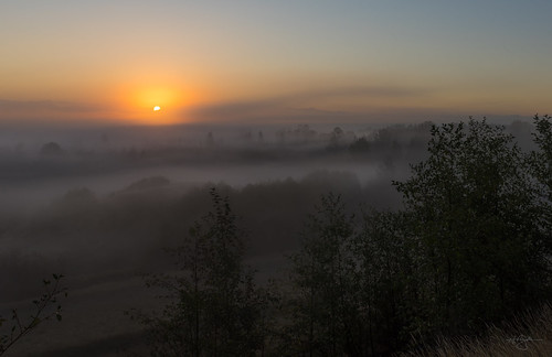 mist fog sunrise nikon pacificnorthwest nik washingtonstate snohomishcounty sunriseglow d810 cascadefoothills lrcc pscc nikkorafs1424mmf28ged ryderphotographic howardryder