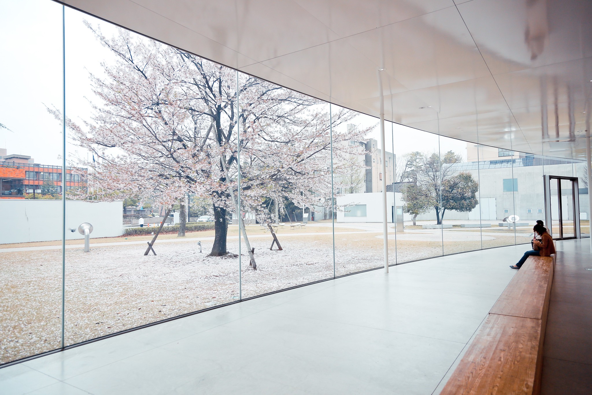 金沢21世紀美術館 (妹島和世 + 西澤立衛)