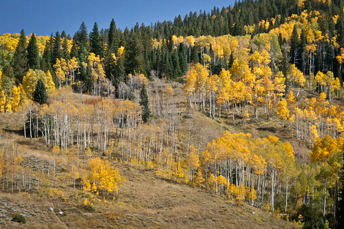 autumn usa mountain lake mountains tree fall leaves yellow season landscape golden colorado hiking aspen cataract cataractlake