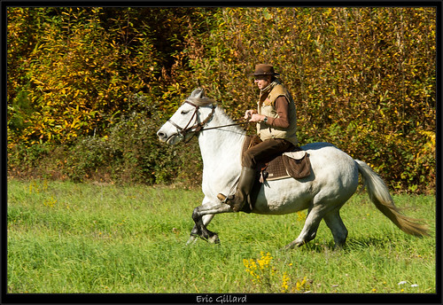 horse cheval weekend chevaux thibaud pixxx lathibaudiere ericgillard