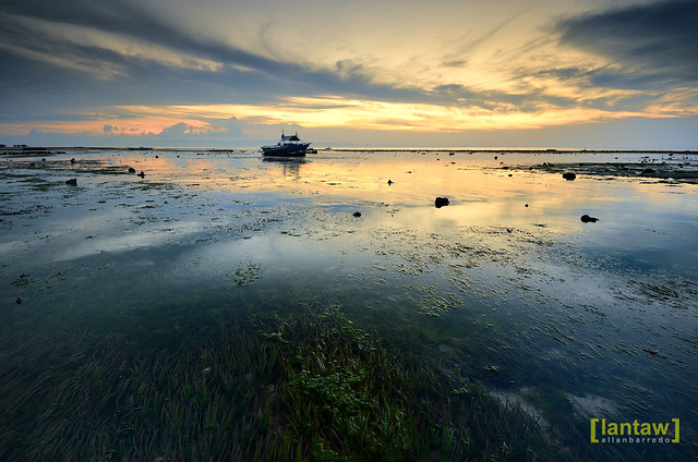 Of lowtide, sea grasses, and sunset