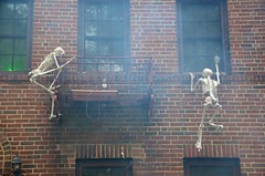 Skeletons Trying To Break In A House