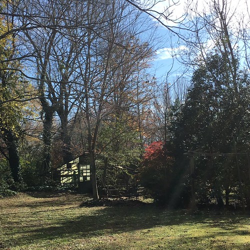 thanksgiving family autumn trees fall beautiful peaceful thankful sandmountain sylvania sylvaniaal