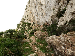 Serra Segaria Trail