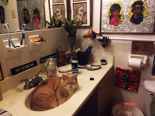 Pumpkin Bathroom Accent (December 5 2014)