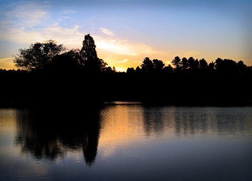 autumn ohio sky lake reflection nature water silhouette sunrise flora dawesarboretum