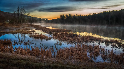 fog sunrise vermont swamp hazy bog