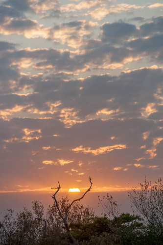 africa park clouds sunrise southafrica south national za hoedspruit kruger limpopo kapama