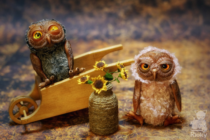 Two crazy little owls