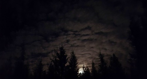 wetland kitsappeninsula moonrise galaxys6 cloudsstormssunsetssunrises