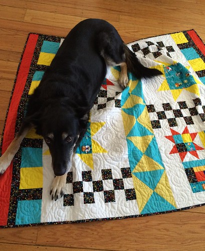 Zoe the quilt quality control dog. It passed inspection.