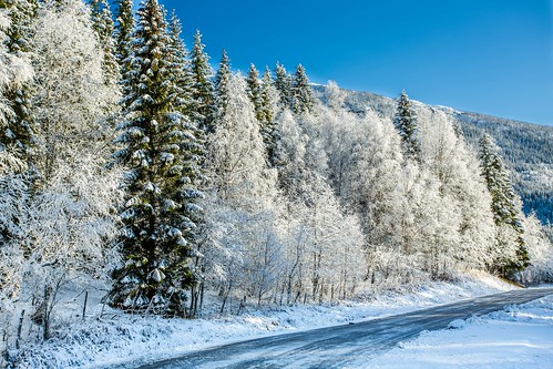 road trees winter sky snow ice norway canon landscape norge photo day outdoor ngc picture nationalgeographic nordland einarschioth