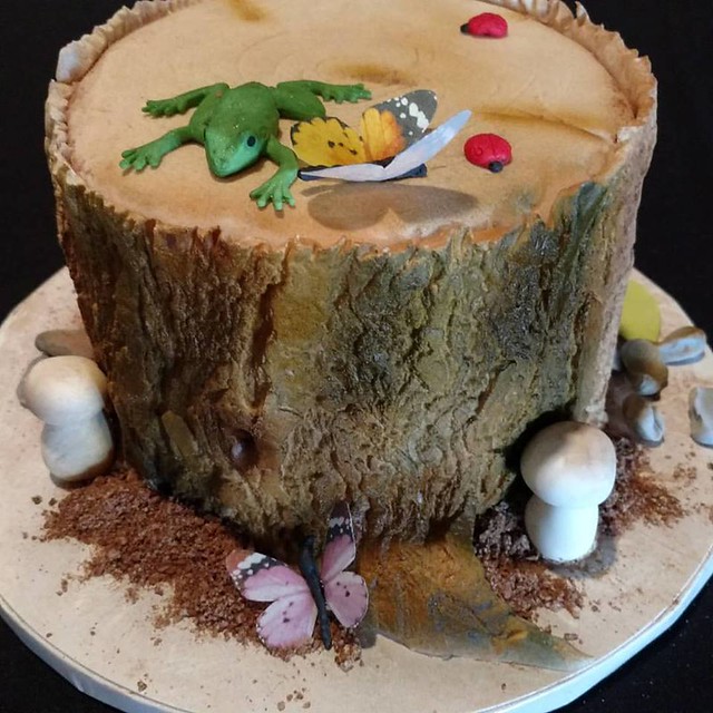 Tree Stump Cake by Decorate The Cake