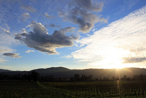 rutherford napavalley napa winecountry california february2017 winery vineyard mummnapa mummnapavalley sky cloud clouds sunset