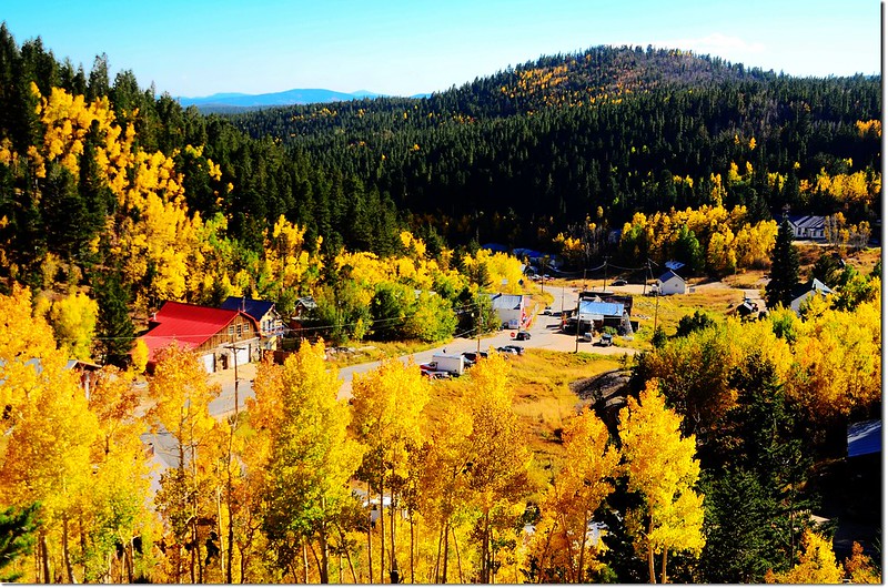 Fall colors by Peak to Peak HWY, Colorado  (8)