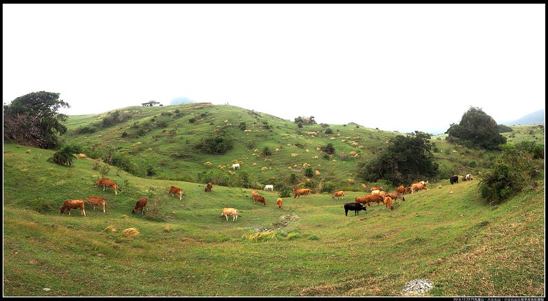 PC231456-全景-F