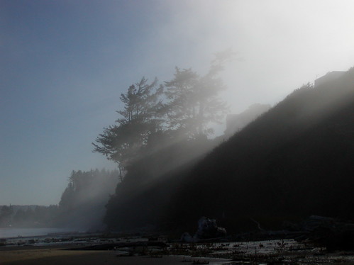 ocean fog sunrise coast