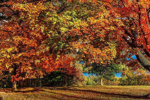 autumn fall burlington canon october iowa mississippiriver 5d markiii crapopark