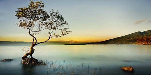 longexposure sunrise landscapes seascapes philippines shoreline kitlens serenity calmness vividcolors stacruz lowlightphotography davaodelsur coastalexposure sonynex6 1650pz