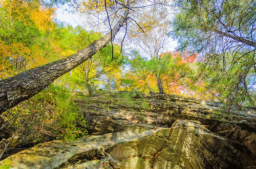 park autumn trees ohio leaves rock stone flora cave geology ashcave hockinghillsstatepark