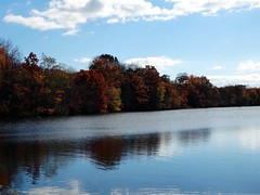 Wantagh - Twin Lakes Preserve - Autumn (79)