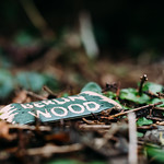 Berlinwood - Forest Split