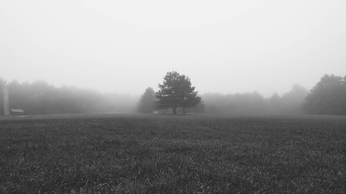 morning blackandwhite white mist black monochrome fog dark dawn moody outdoor sony rokinon a6000