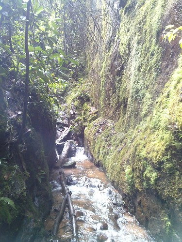 forest trekking waterfall selva canyon perú jungle caminata catarata junín cañón cañon lamerced 2015 chanchamayo selvacentral selvaalta