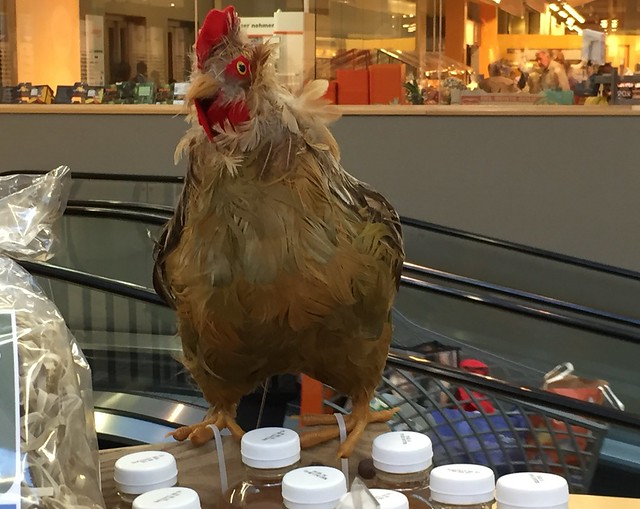 Chicken in supermarket