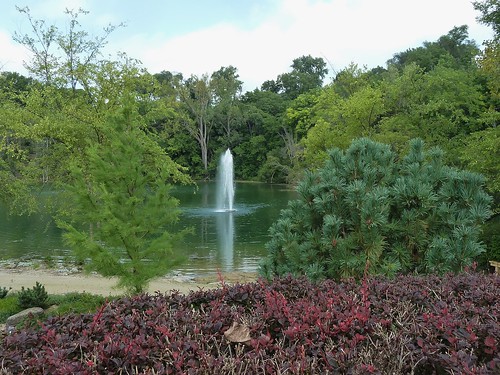 plants nature water fountain landscape pond flora foliage pines everygreens janesvillewi rotarybotanicalgardens