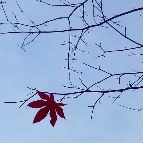The last leaf hangs on, as O Henry intended.