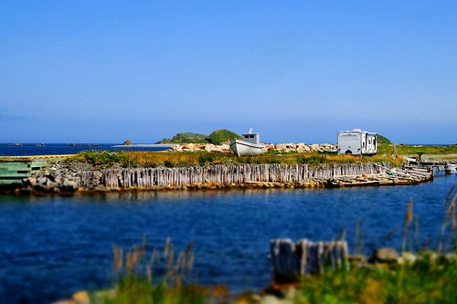 newfoundland southernshore ferryland irishloop