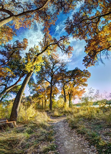 november blue panorama orange brown newmexico green fall yellow river landscape albuquerque bosque nm joeldeluxe willows hdr riogrande cottonwoods 2015 nhcc southofbridge