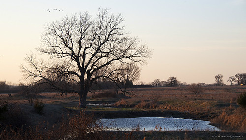 oklahoma thackerville countryside trees creeks ponds sunsets birds nikon d610