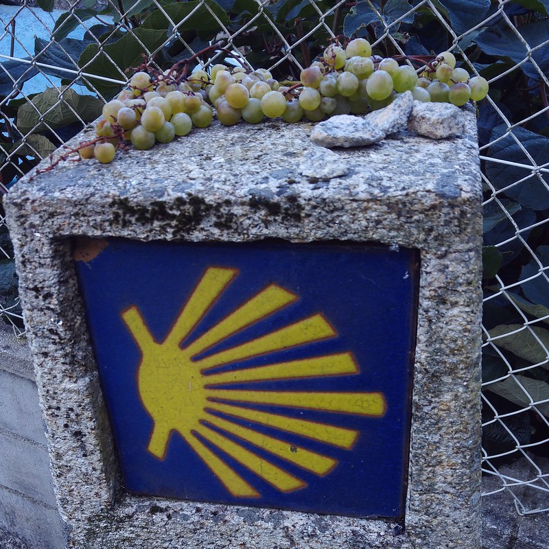 Kindness and Community on the Camino