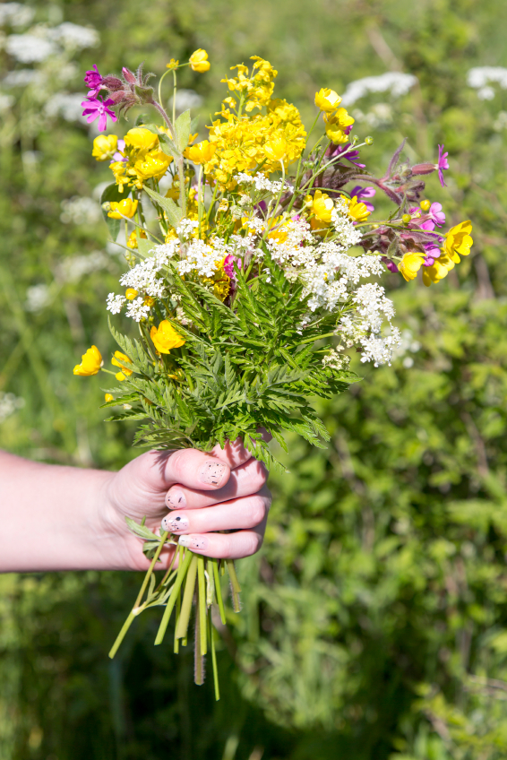 Woman Holding Bouquet of Summer Flowers with grass and flowers in the background.