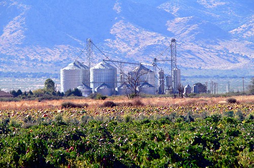 farm silo pumpkin mountain desert landscape metalbuilding fall