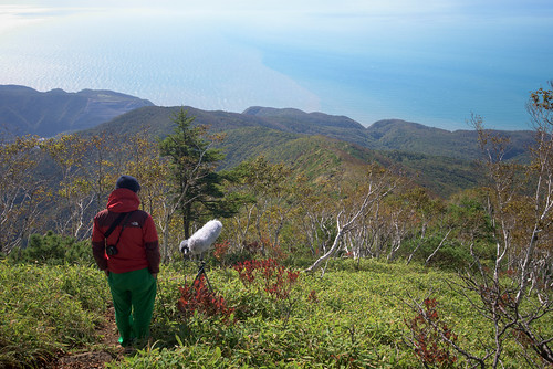 field mount jp 北海道 日本 recording fieldrecording urakawa apoi 浦河 43d アポイ岳 様似郡 フィールド・レコーディング mountapoi