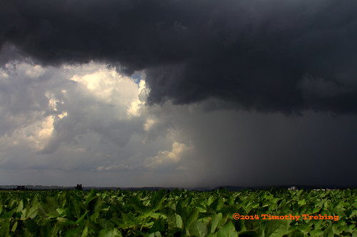 sky nature field weather clouds rural landscape photography beans farm stormy